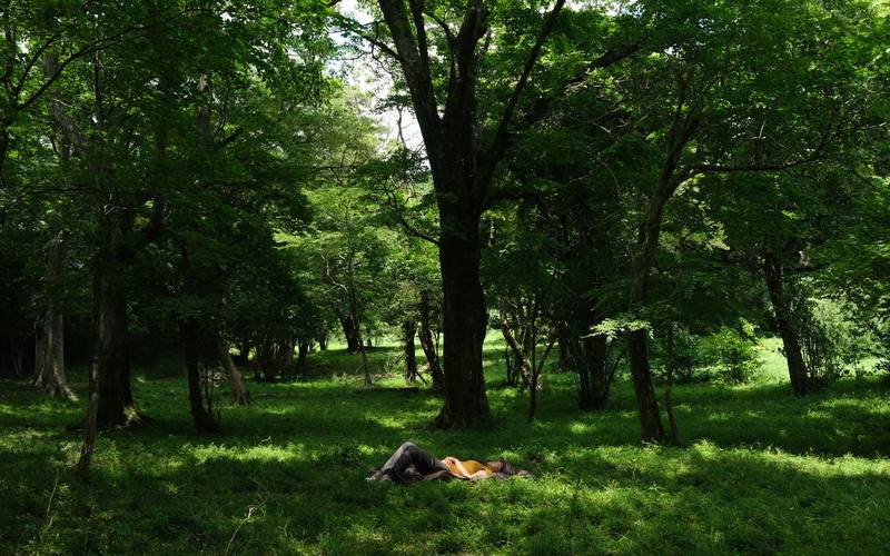 A guest resting on a mat and looking into the forest canopy in Hakone