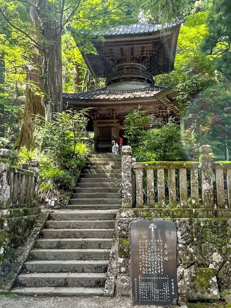 Stone steps climbing to a temple pagoda through cedar forest