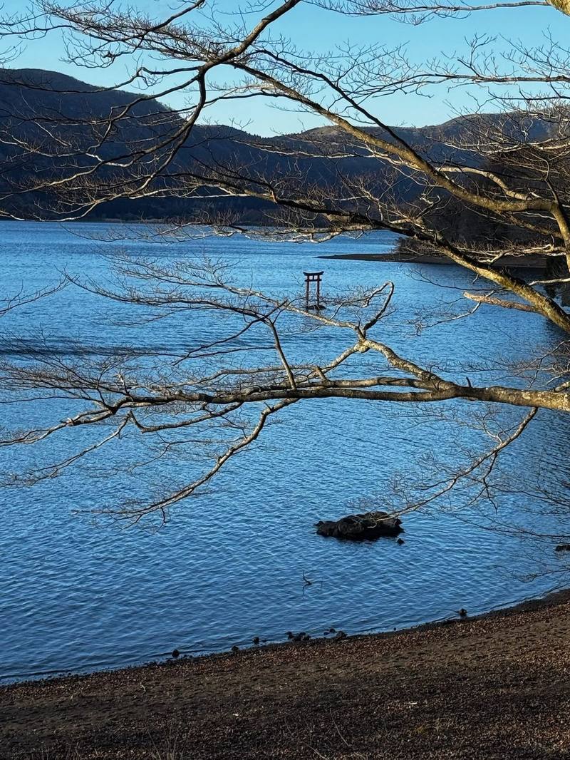 Lake Ashi seen through trees beside a red torii gate
