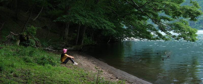L’eau calme et la forêt au bord du lac Ashi à Hakone